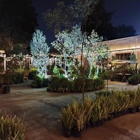 Utopia Hotel Boutique Mexico City Exterior photo