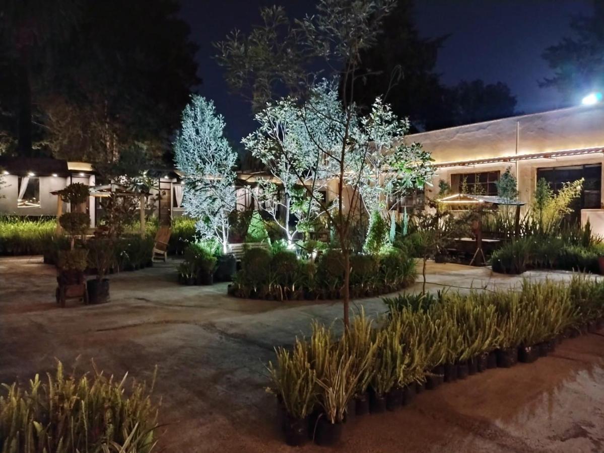Utopia Hotel Boutique Mexico City Exterior photo